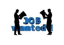 KB Visa consultants provide open work visa