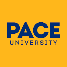 KB Visa Consultants is Associate of Pace University